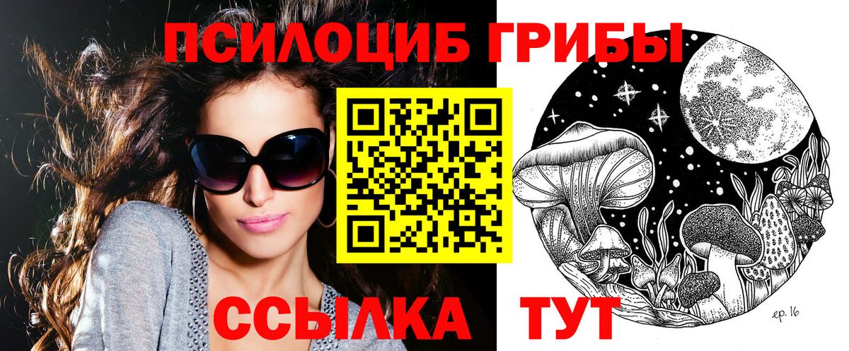 Воронеж  Галлюциногенные грибы прущие грибы  Вход с VPN 