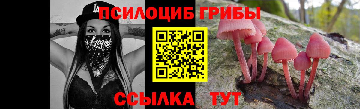 Псилоцибиновые грибы прущие грибы Воронеж